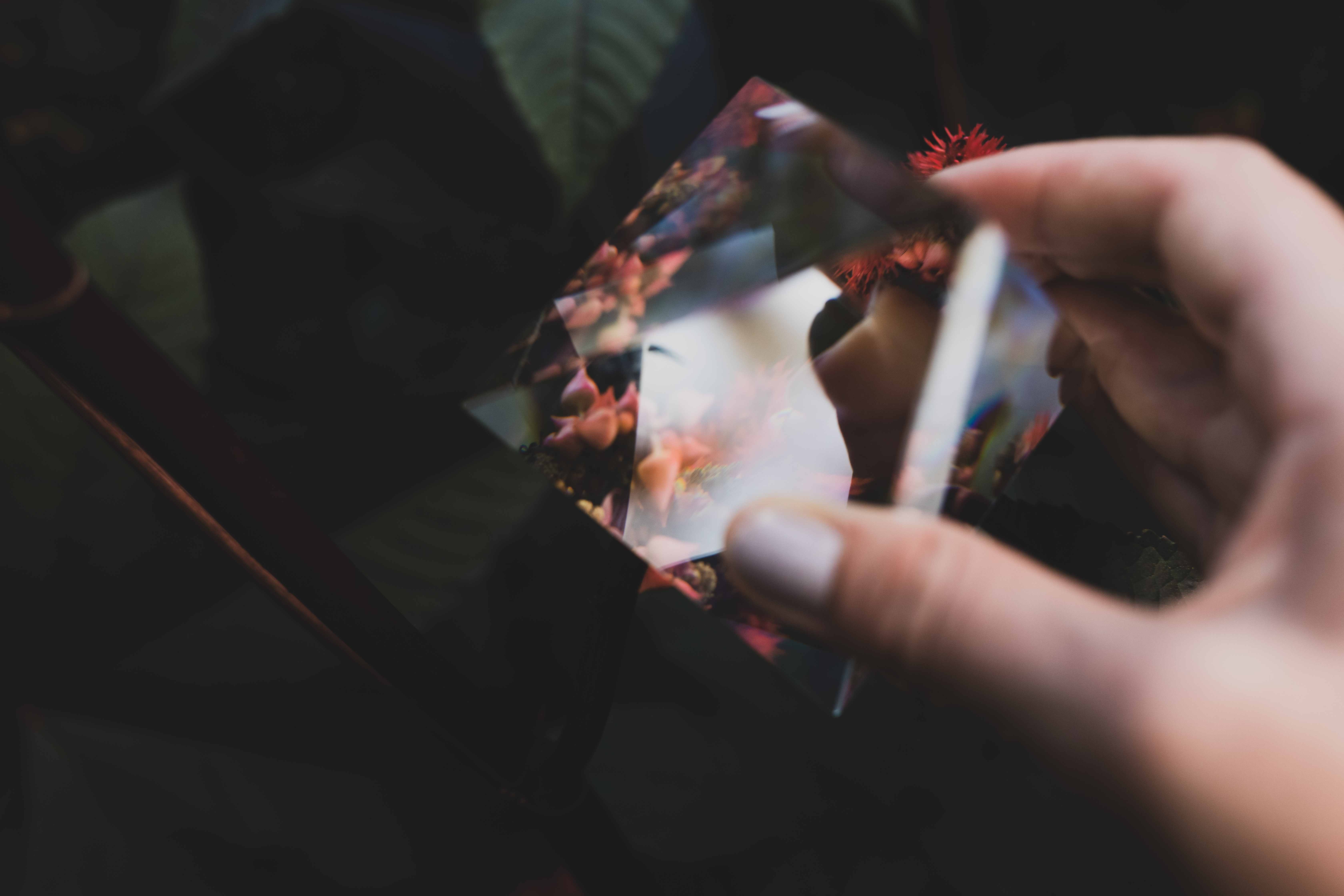 Prisma: Превращение фотографий в произведения искусства