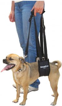 dogs rear leg support sling